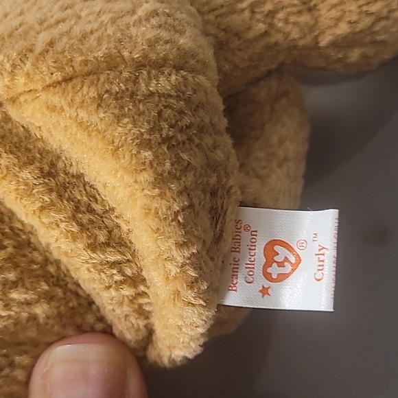 TY Beanie Baby Curly RARE w. Tag Errors 1996 - Picture 7 of 9